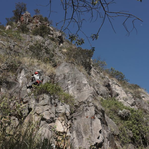 FIRST ASCENT TEBING RAJAWALI GUNUNG SUMBING